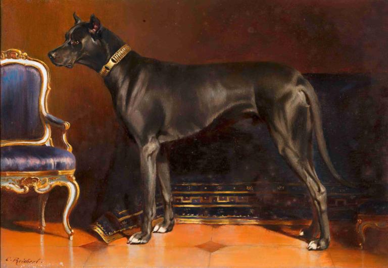 Rüde Shadow, Hund von Kaiserin Elisabeth,Hanhund Shadow, kejsarinnan Elisabeths hund,Carl Reichert