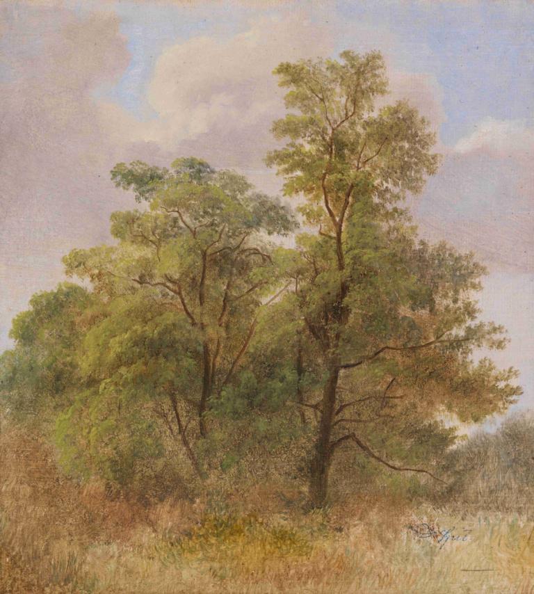 Baumstudie,Carl Spitzweg,Oil Painting,Oil Painting, no humans, tree, outdoors, sky, scenery, grass