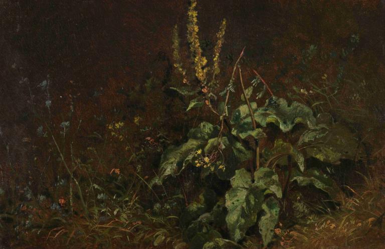 Stauden (Königskerzen und Gräser),Carl Spitzweg,Oil Painting,Oil Painting, plant, weapon, flower, scenery