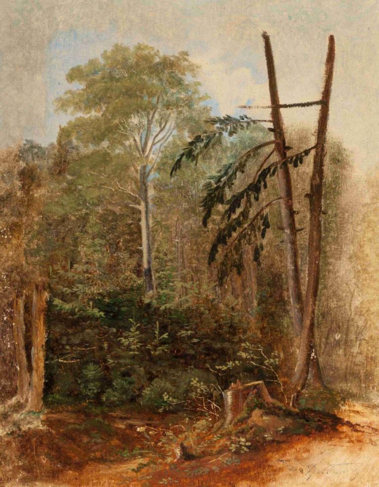 Study of a Woodland Landscape,Carl Spitzweg,Oil Painting,Oil Painting, no humans, tree, scenery, outdoors