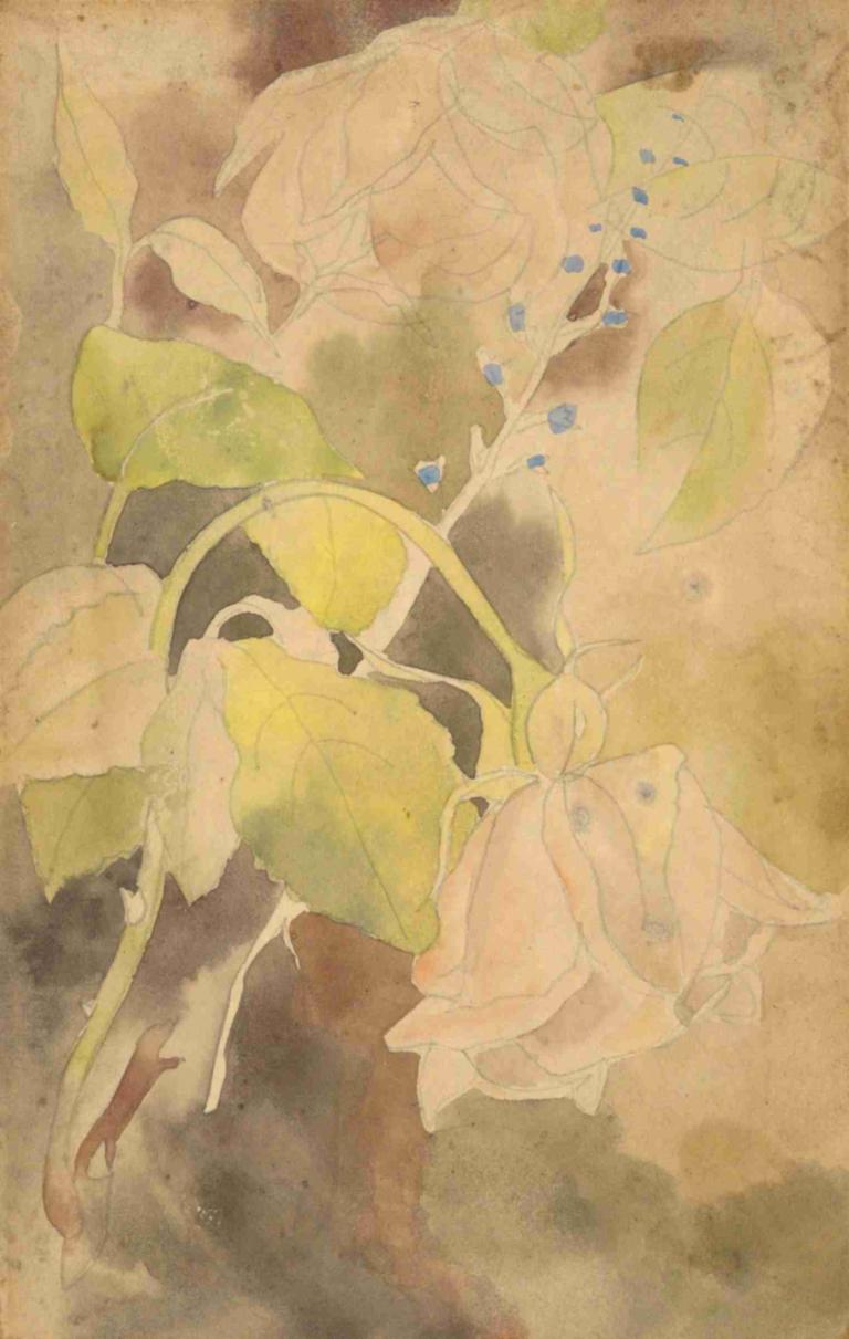 Peachy Rose,피치 로즈,Charles Demuth,찰스 데무스,수채화,수채화, 꽃, 잎, 회화 (중), 수채화 (중), 식물, 전통 미디어, 인간은 없어, 감긴 눈, 푸른 꽃, 독주