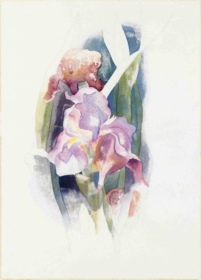 Purple Iris,Purpurfärgad iris,Charles Demuth,Akvarell,Akvarell, solo, akvarell (medium), målning (medium)