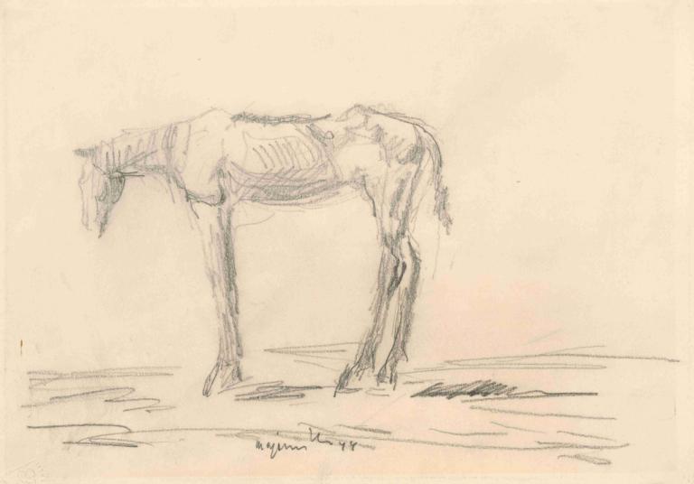 Emaciated Horse,쇠약해진 말,Cyprián Majerník,키프리안 마제르닉,스케치,스케치, 인간은 없어, 스케치, 단색화, 동물, 전통 미디어, 말