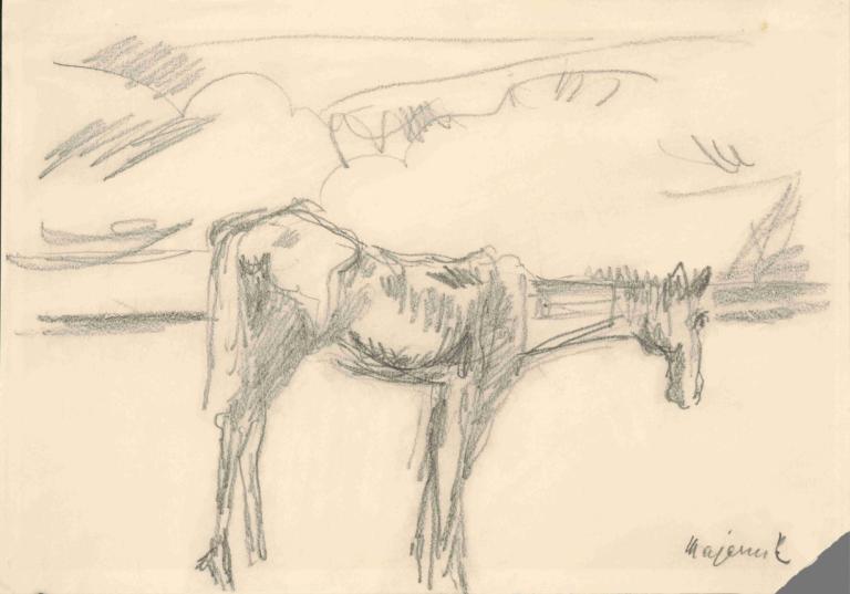 Lonely Horse,Cyprián Majerník,Sketch,Sketch, monochrome, horse, animal, no humans, dog, sketch