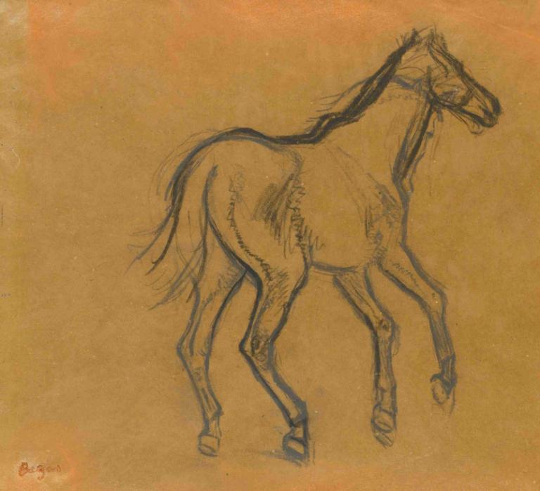 Étude De Cheval,Badanie koni,Edgar Degas,Szkic,Szkic, żadnych ludzi, koń, tradycyjne media, monochromia, solo