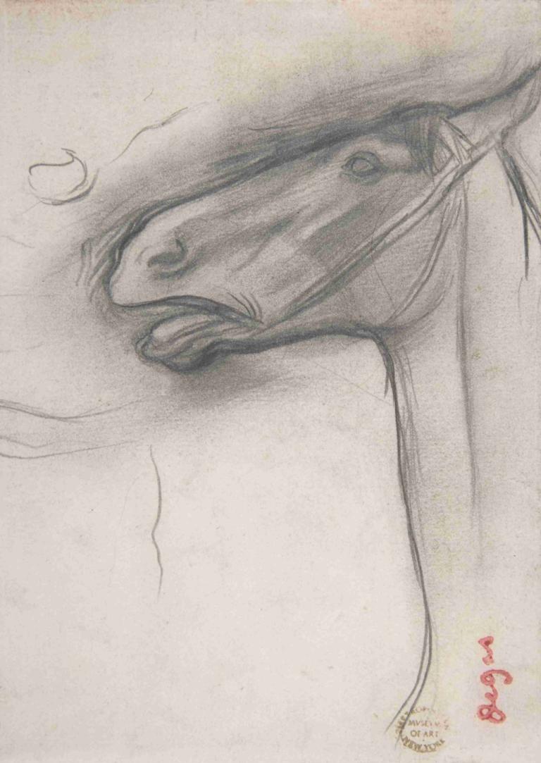 Head of a Horse,Cabeza de caballo,Edgar Degas,Bosquejo,Bosquejo, medios de comunicación tradicionales