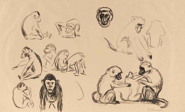 Affen I und II,Edvard Munch,Sketch,Sketch, sketch, monochrome, no humans, dog, teeth, what, open mouth