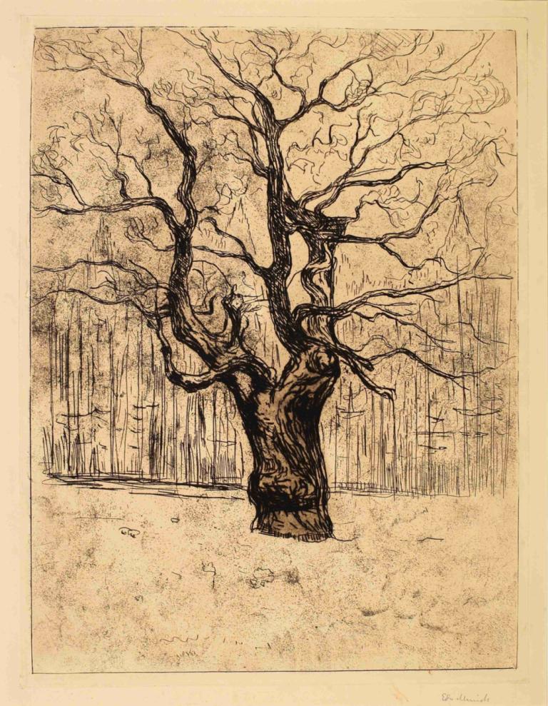 The Oak,Hrast,Edvard Munch,Bakrorez Jedkanica,Bakrorez Jedkanica, drevo, enobarvno, brez ljudi, na prostem