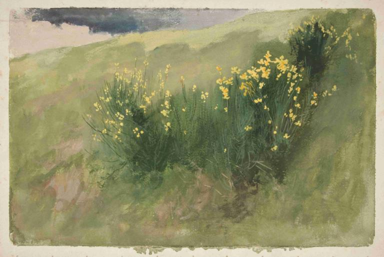 Landscape with wildflowers,Krajina s divokými květy,Edwin Austin Abbey,Akvarel,Akvarel, žádní lidé, venku