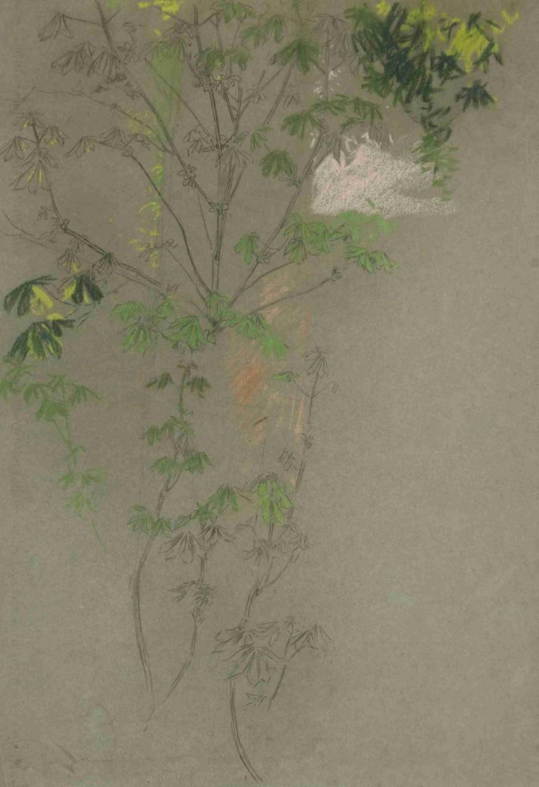 Sketch of leafing tree branches,Edwin Austin Abbey,Pastel,Pastel, leaf, tree, plant, nature, no humans, solo