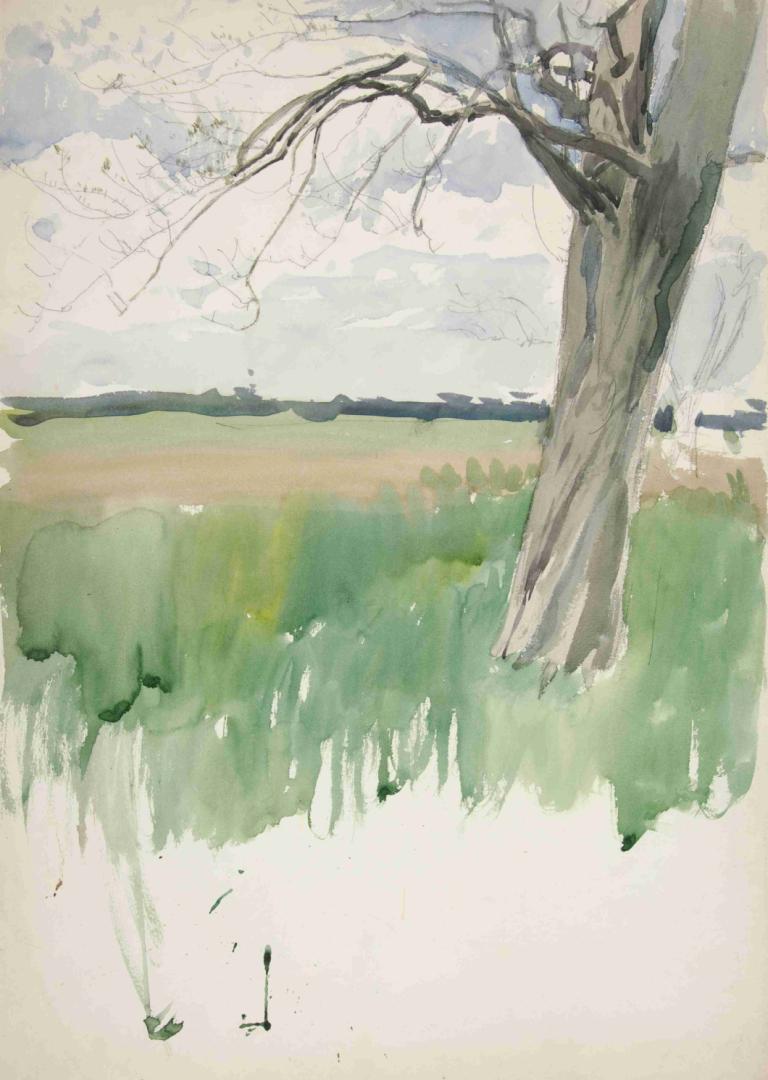 Study of a field and tree,Estudio de un campo y un árbol,Edwin Austin Abbey,Acuarela,Acuarela, árbol