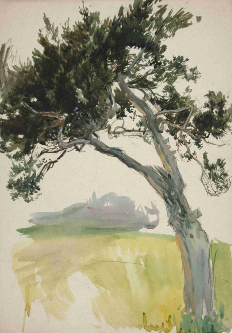 Study of a tree and field,Estudio de un árbol y un campo,Edwin Austin Abbey,Pastel,Pastel, árbol, no humanos