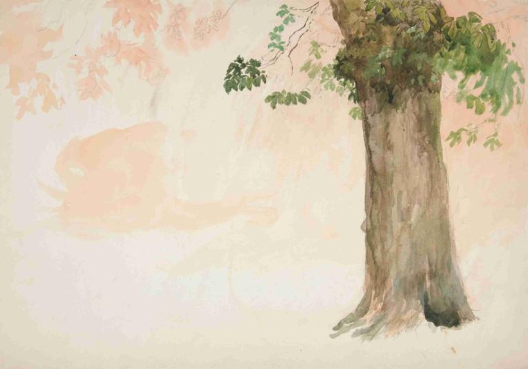 Study of a tree trunk,Estudio del tronco de un árbol,Edwin Austin Abbey,Acuarela,Acuarela, árbol, no humanos