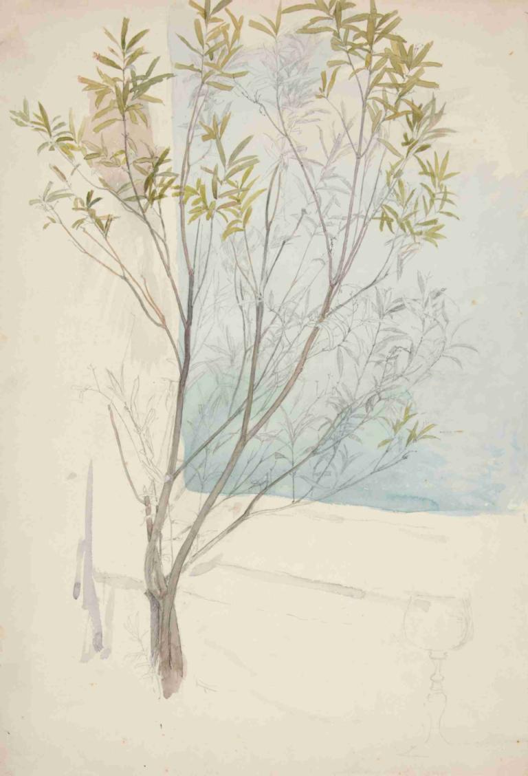 Study of a tree,Studie av ett träd,Edwin Austin Abbey,Pastell,Pastell, inga människor, växt, träd, blad