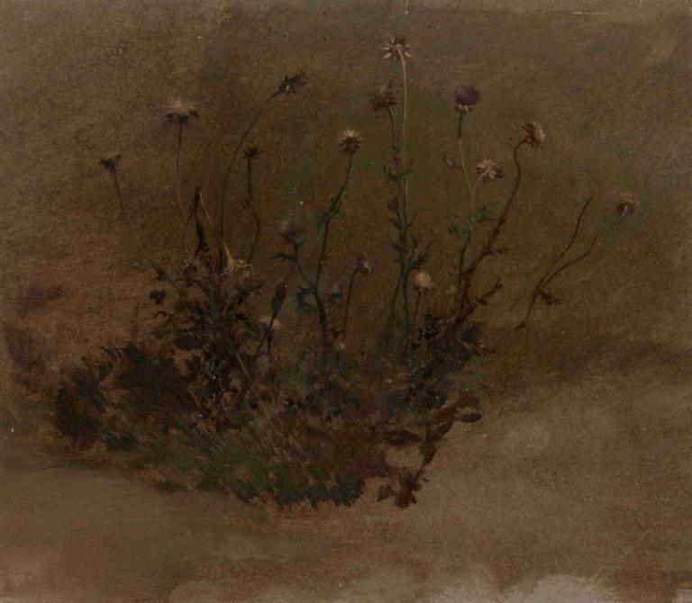 Wild Flowers,野花,Elihu Vedder,伊莱休-维德,插画,插画, 没有人类, 花, 风景, 植物, 户外, 静物, 棕色背景, 草, 树, 天空