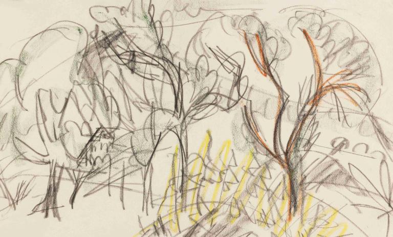 Baumgruppe in Königstein,Ernst Ludwig Kirchner,Sketch,Sketch, flower, sketch, traditional media, plant, tree