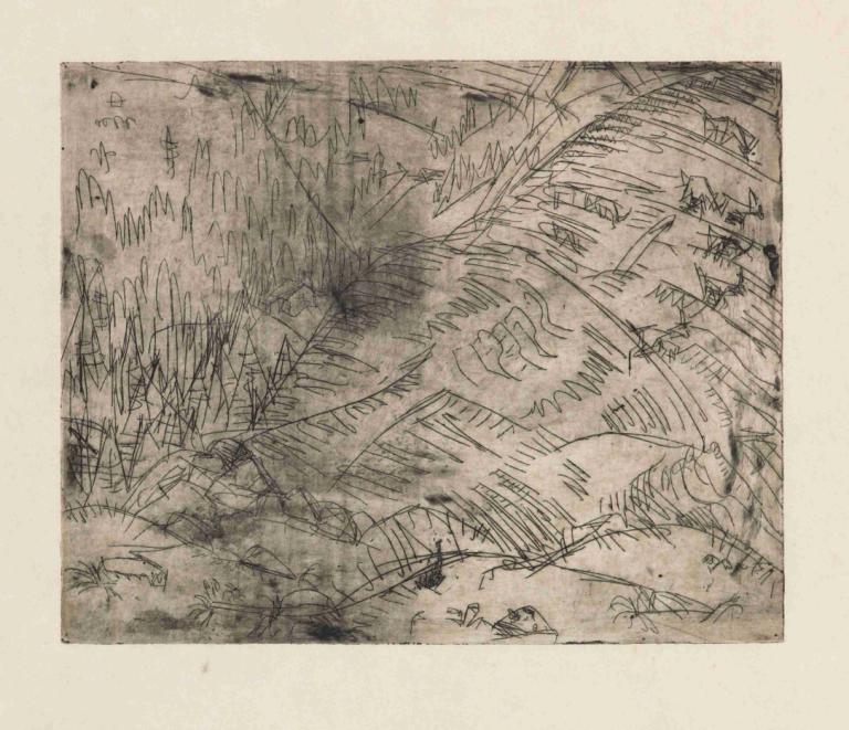 Berghang mit Ziegen,Ernst Ludwig Kirchner,Copperplate Etching,Copperplate Etching, monochrome, grass, nature