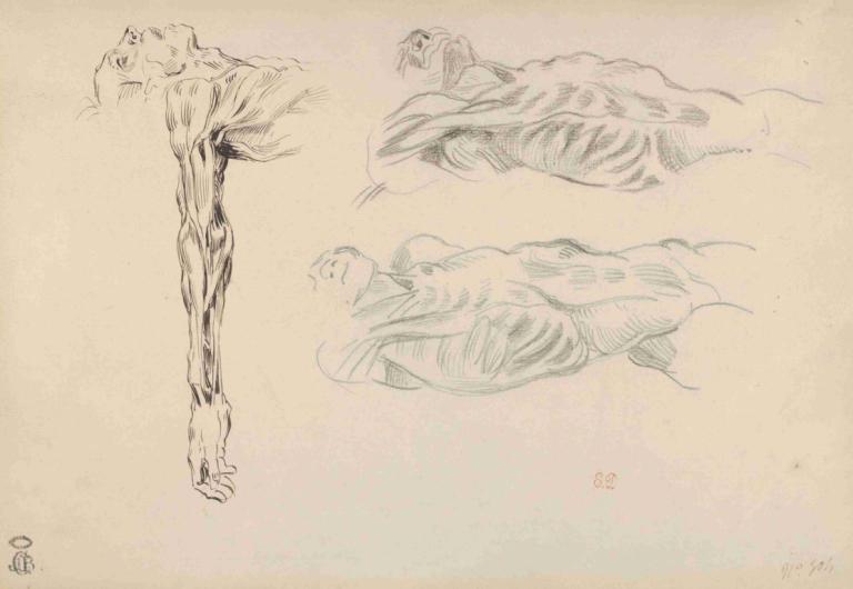 Écorché; Three Studies of a Male Cadaver,Écorché; tri študije moškega trupla,Eugène Delacroix,Skica,Skica