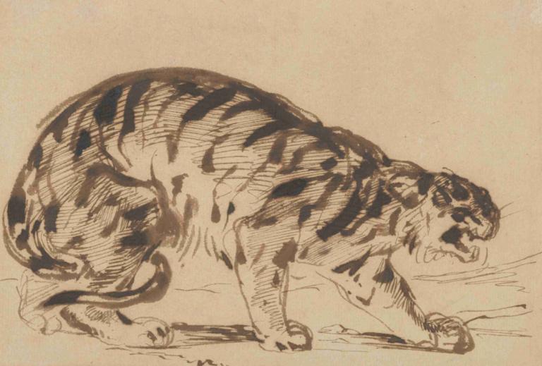 Crouching Tiger,Kruipende tijger,Eugène Delacroix,Schetsen,Schetsen, geen mensen, tijger, monochroom