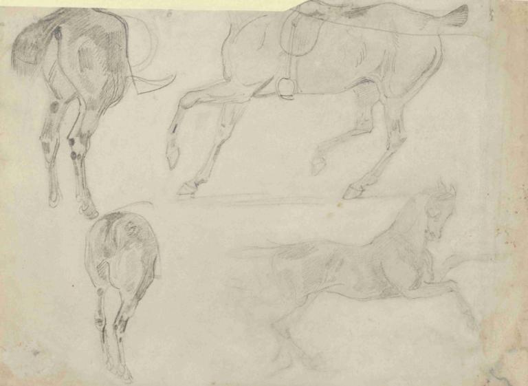 Four Studies of Horses,Eugène Delacroix,Sketch,Sketch, no humans, monochrome, horse, traditional media, dog