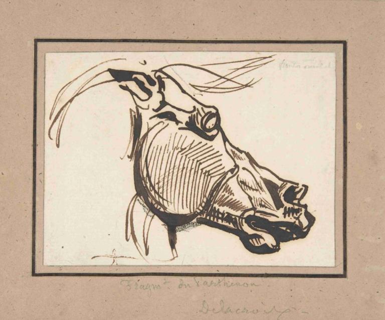 Head of a Horse, after the Parthenon,Head of a Horse, etter Parthenon,Eugène Delacroix,Kobberplate Etsning