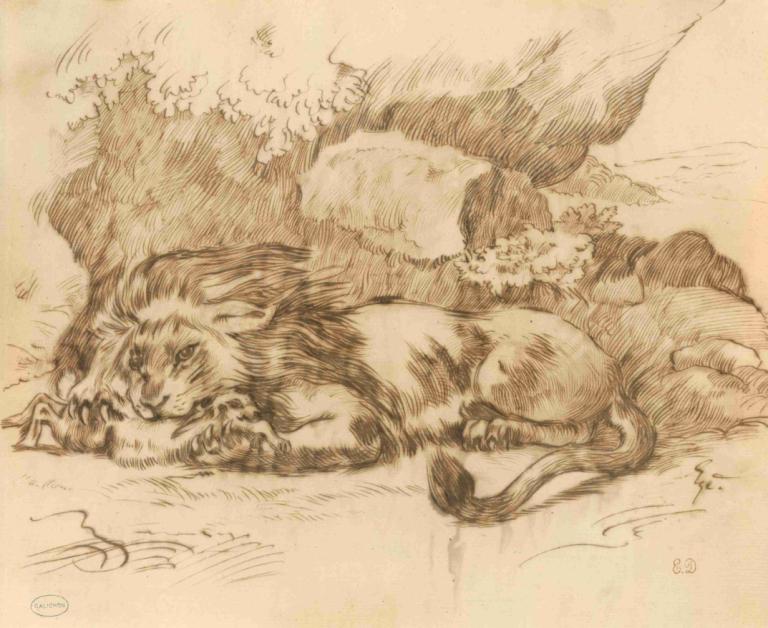 Lion Devouring a Rabbit,Lejon som slukar en kanin,Eugène Delacroix,Skiss,Skiss, inga människor, svartvit