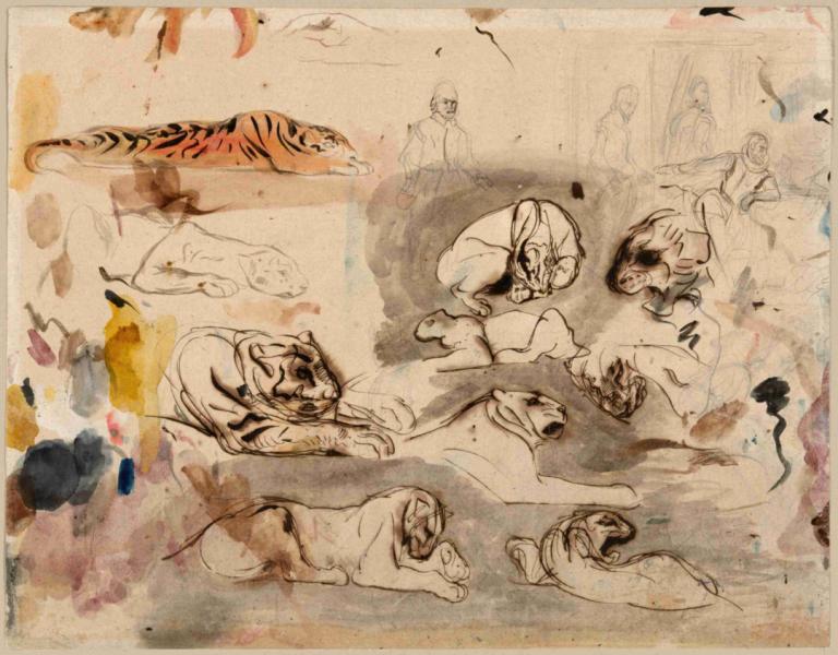 Sketches of Tigers and Men in 16th Century Costume,Croquis de tigres et d'hommes en costume du XVIe siècle