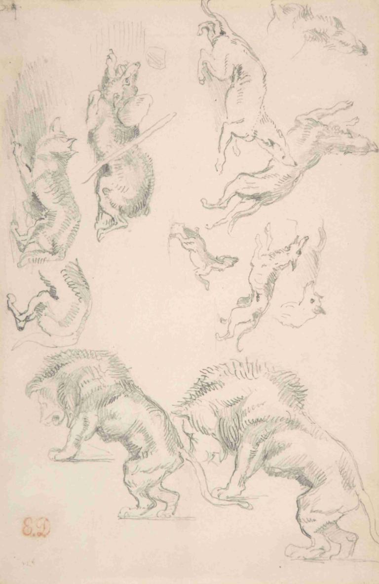 Studies of Animals,动物研究,Eugène Delacroix,欧仁-德拉克洛瓦,素描,素描, 狗, 没有人类, 草图, 动物, 单色, 传统媒体, 狼