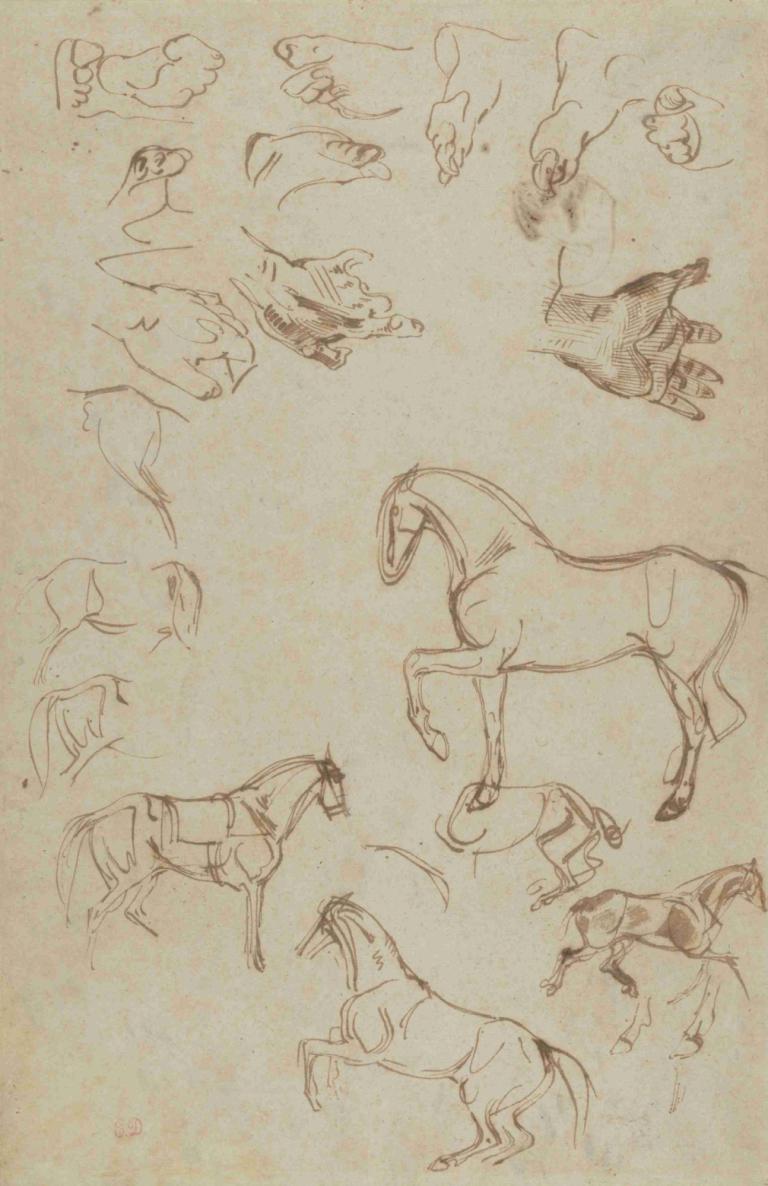 Studies of Horses, Hands, and Feet,馬、手、足の研究,Eugène Delacroix,ウジェーヌ・ドラクロワ,スケッチ,スケッチ, モノクロ, スケッチ, 従来のメディア