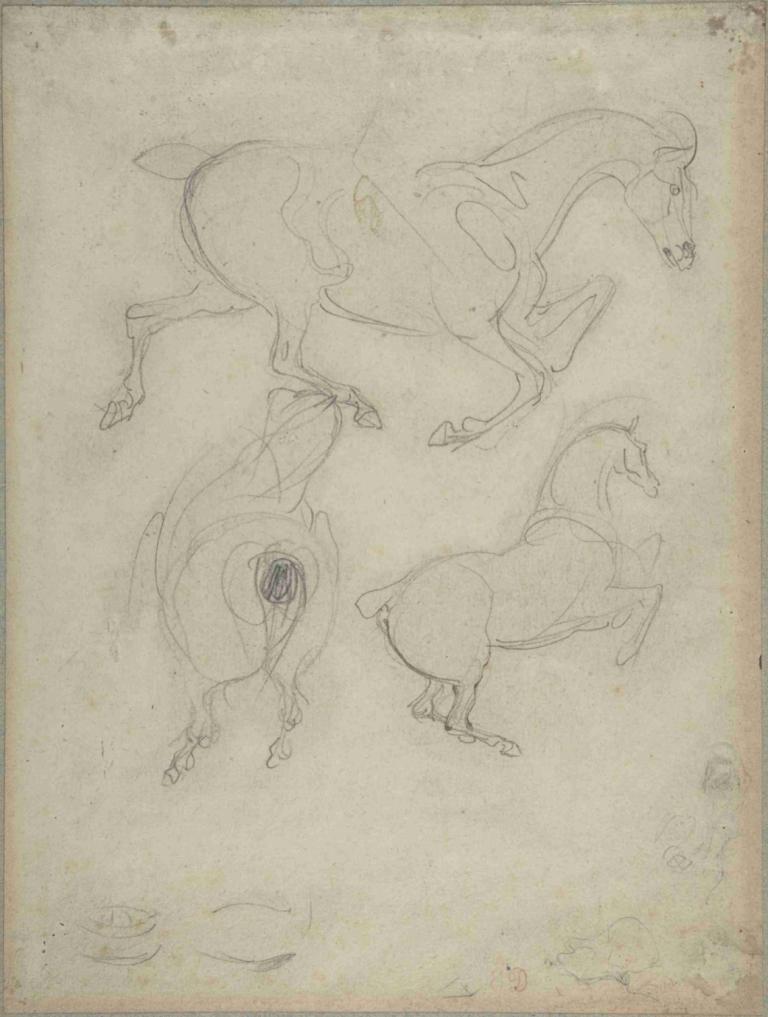 Studies of Horses,馬の研究,Eugène Delacroix,ウジェーヌ・ドラクロワ,スケッチ,スケッチ, 人間がいない, ポケモン（生き物）, モノクロ, スケッチ, 従来のメディア