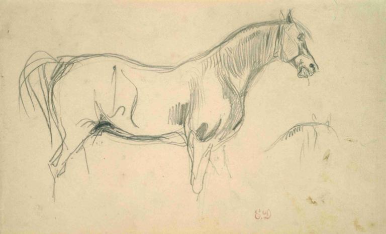 Studies of a Horse in Profile,Studie koně v profilu,Eugène Delacroix,Náčrt,Náčrt, žádní lidé, zvíře, skica