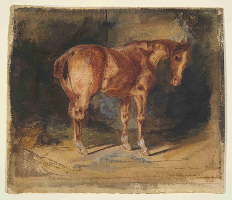 Study of a Horse-1,Studie koně-1,Eugène Delacroix,Olejomalba,Olejomalba, žádní lidé, okraj, kůň, sólo