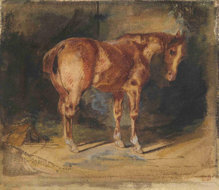 Study of a Horse,Studie koně,Eugène Delacroix,Olejomalba,Olejomalba, žádní lidé, sólo, tradiční média