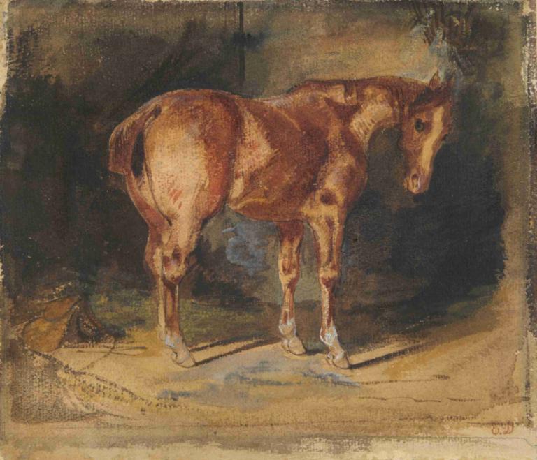 Study of a Horse,Studie koně,Eugène Delacroix,Olejomalba,Olejomalba, žádní lidé, sólo, kůň, podpis