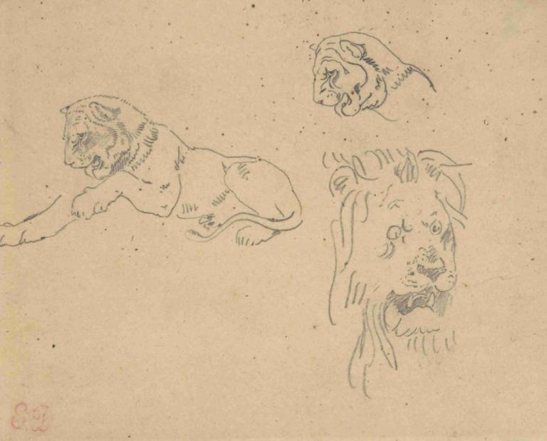 Three Studies of a Lion,Tři studie lva,Eugène Delacroix,Náčrt,Náčrt, žádní lidé, černobílý, animalizace