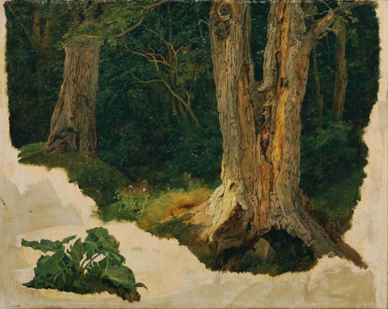 Baumstudie,Ferdinand Georg Waldmüller,Oil Painting,Oil Painting, tree, nature, no humans, outdoors, grass