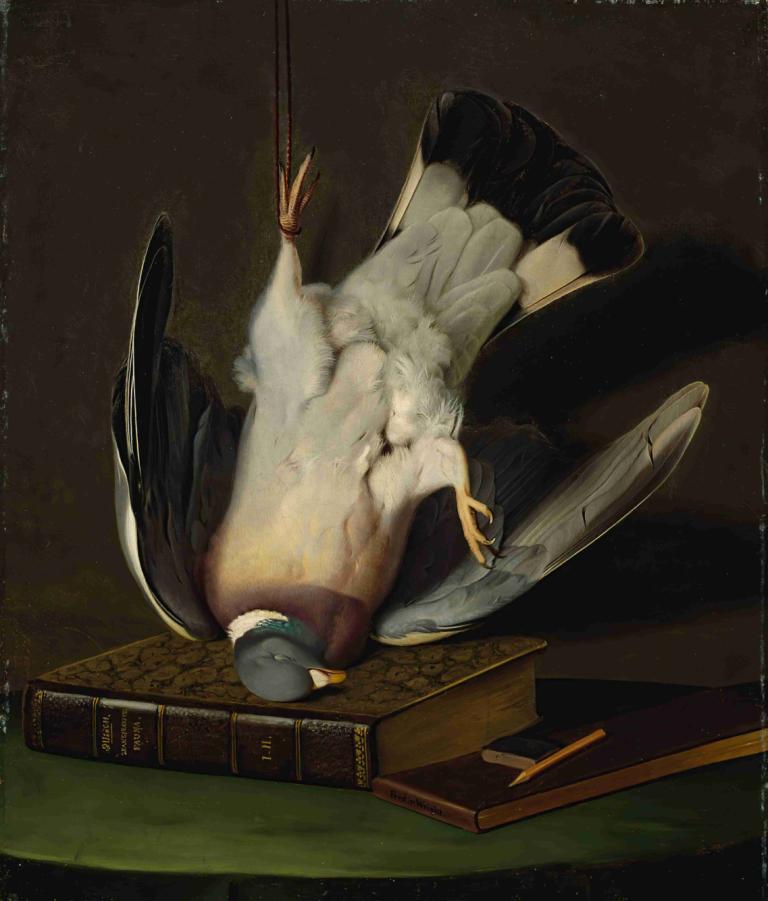 A Dead Wood Pigeon,Un pigeon ramier mort,Ferdinand von Wright,Peinture à l'huile,Peinture à l'huile, ailes