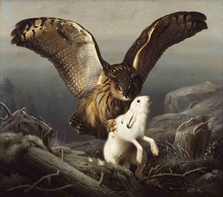 An Eagle-Owl Seizes A Hare,ワシミミズクがウサギを捕まえる,Ferdinand von Wright,フェルディナント・フォン・ライト,油絵,油絵, 人間がいない, 動物, 現実的な, 屋外