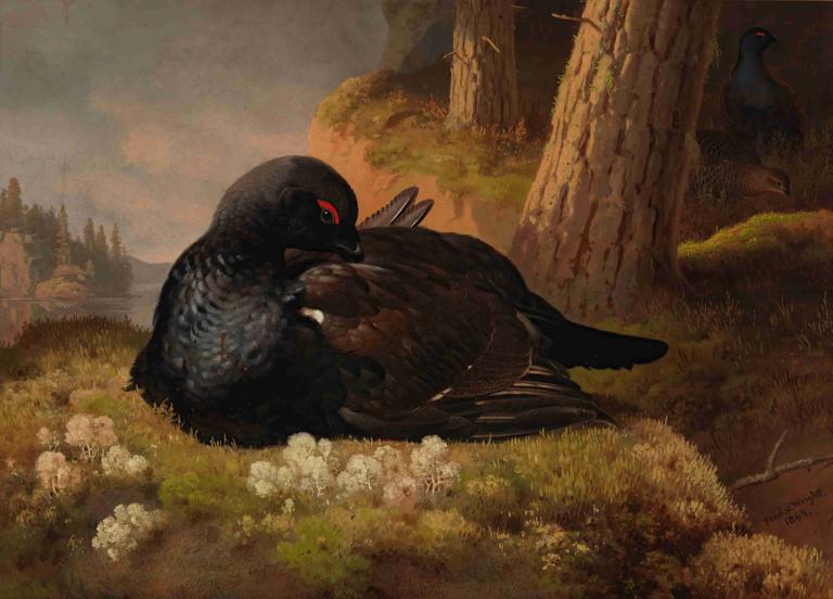 Black Grouse,Ferdinand von Wright,Oil Painting,Oil Painting, bird, no humans, outdoors, tree, grass, red eyes