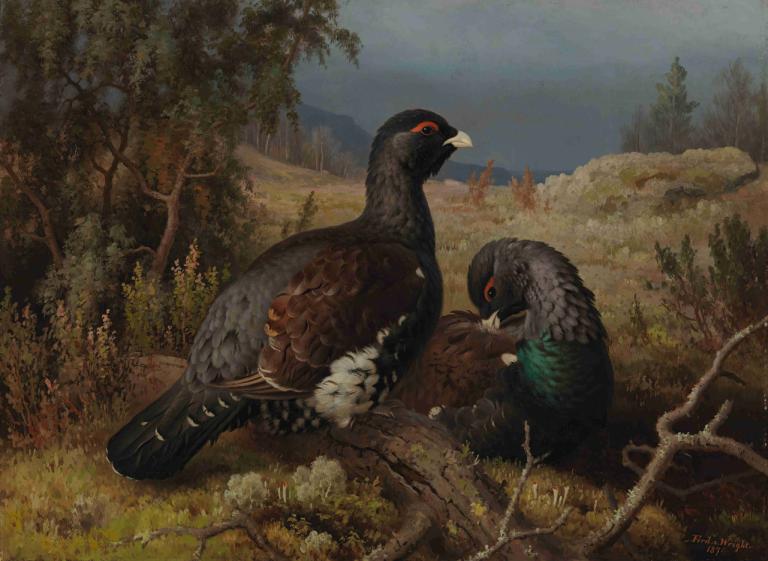 Capercaillie Cocks,Ferdinand von Wright,Oil Painting,Oil Painting, no humans, bird, outdoors, tree, realistic