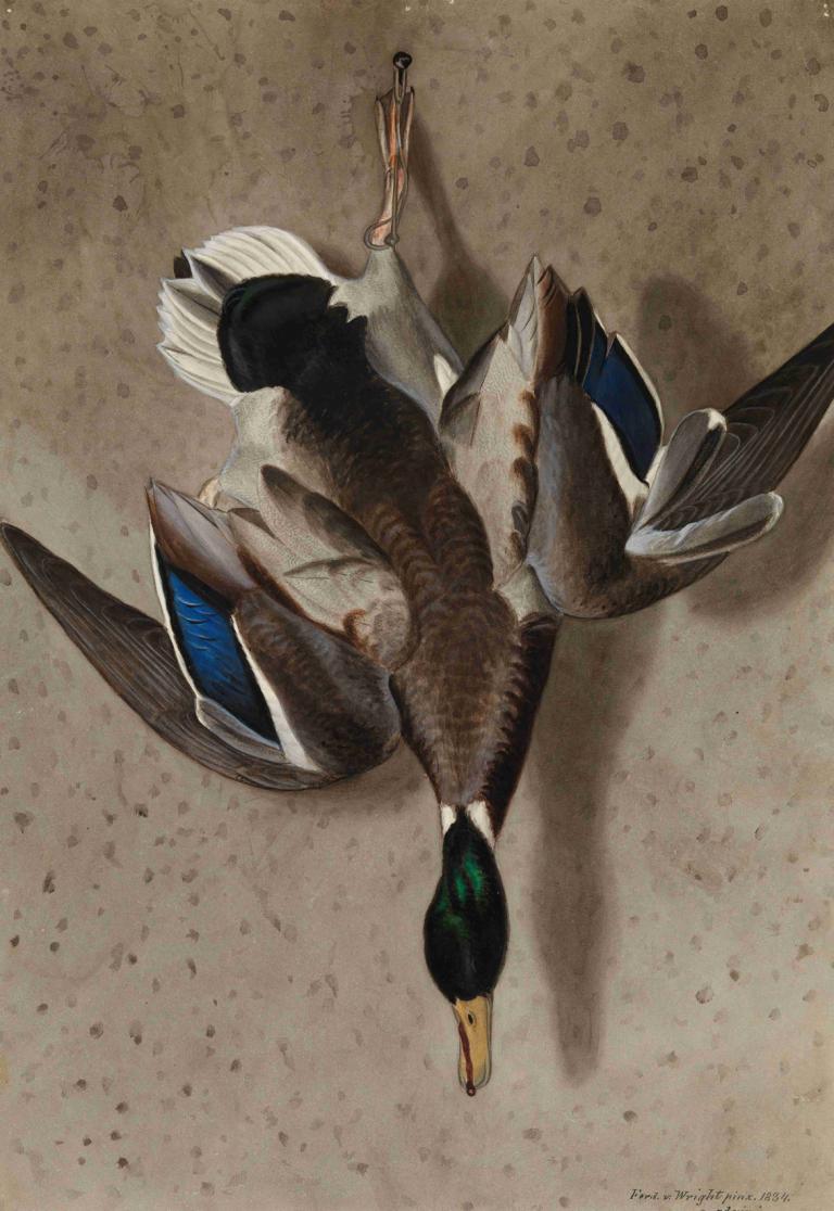 Hanging Mallard,Ferdinand von Wright,Oil Painting,Oil Painting, no humans, realistic, bird, animal focus