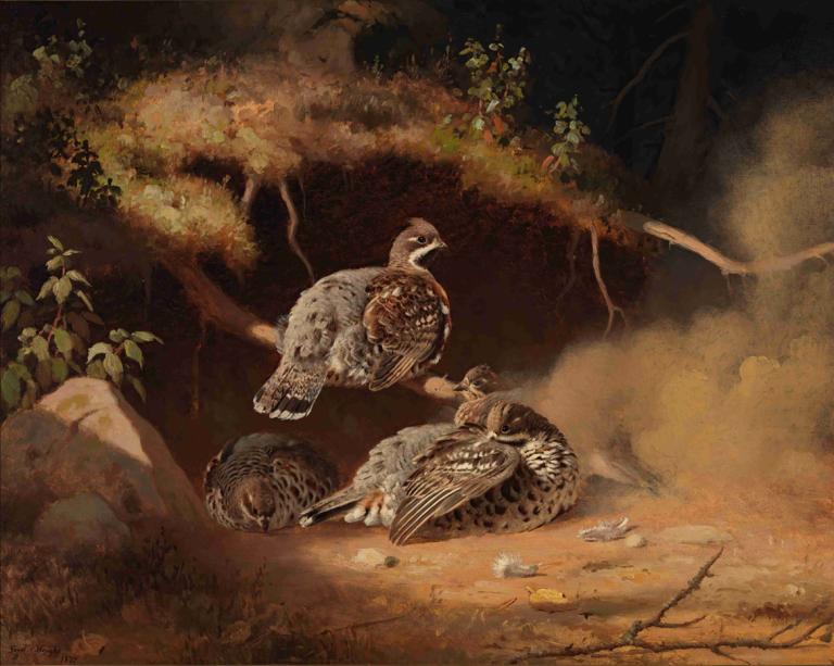 Hazel Grouse Wallowing In Sand,Kumda Yuvarlanan Hazel Orman Tavuğu,Ferdinand von Wright,Yağlı boya,Yağlı boya