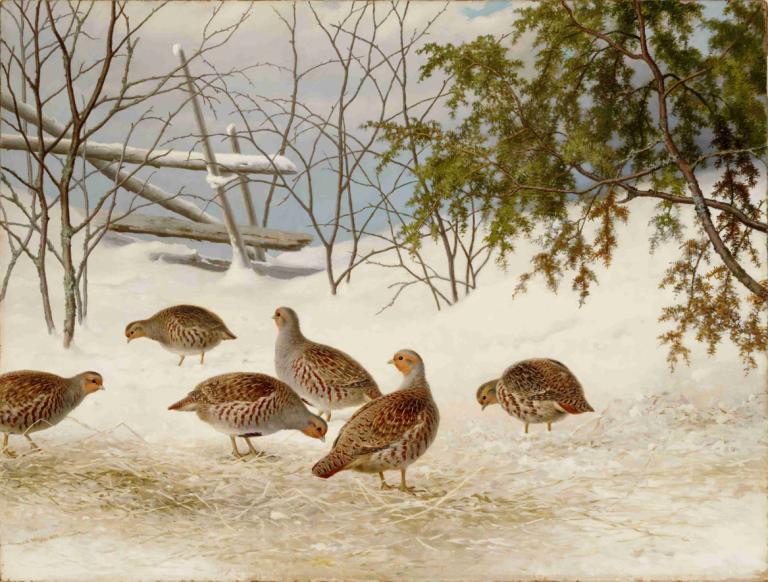 Partridges In Snow,Ferdinand von Wright,Oil Painting,Oil Painting, no humans, tree, bird, bare tree, outdoors