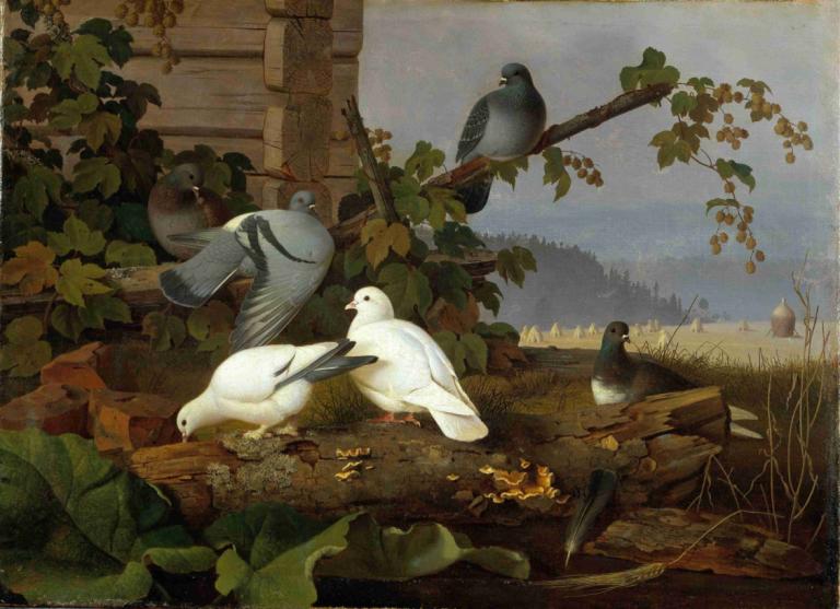 Pigeons,Gołębie,Ferdinand von Wright,Obraz olejny,Obraz olejny, ptak, żadnych ludzi, na dworze, sceneria