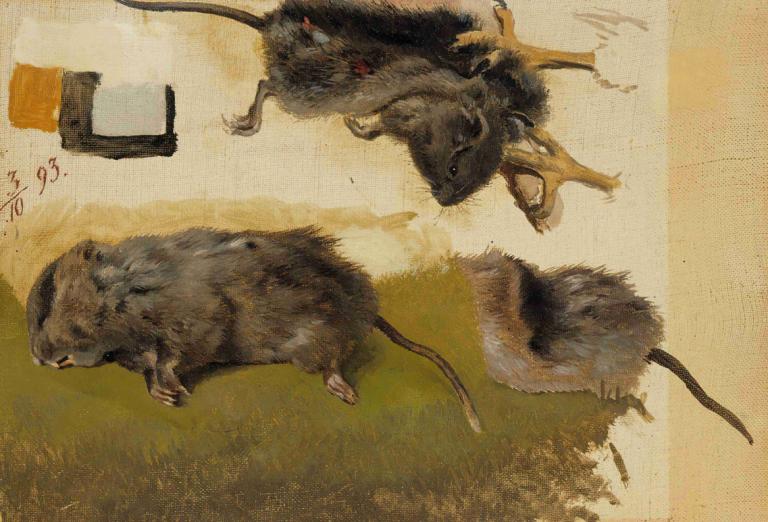 Rodents,Ferdinand von Wright,Oil Painting,Oil Painting, no humans, running, grass, boar, traditional media