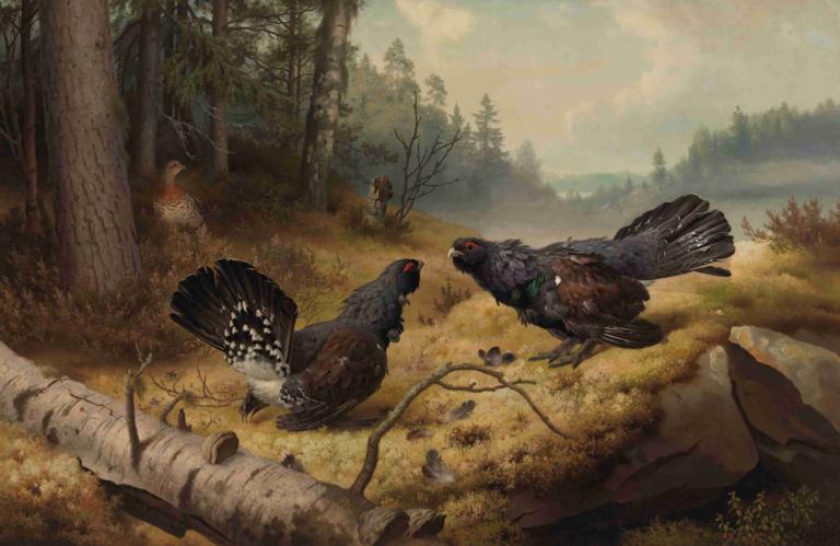 The Fighting Capercaillies,Walczące głuszce,Ferdinand von Wright,Obraz olejny,Obraz olejny, ptak, drzewo