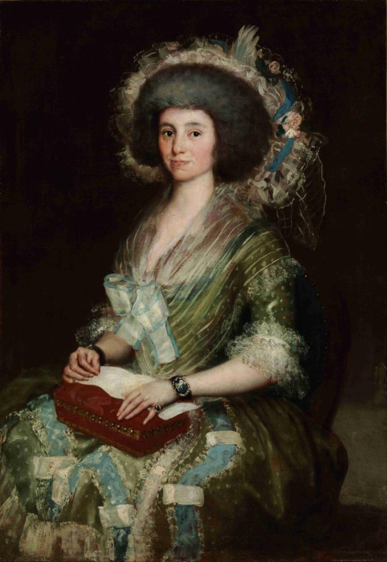 Portrait of Senora Ceán Bermudez,Chân dung của Serora Sense Bemudes,Francisco de Goya,Francisco Degoya.