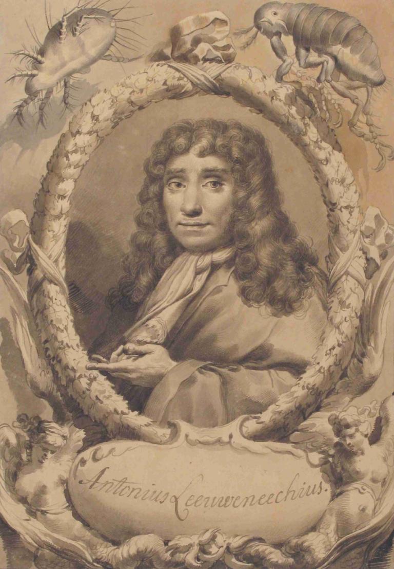 The Dutch Microscopist Anton van Leeuwenhoek,Der niederländische Mikroskopiker Anton van Leeuwenhoek