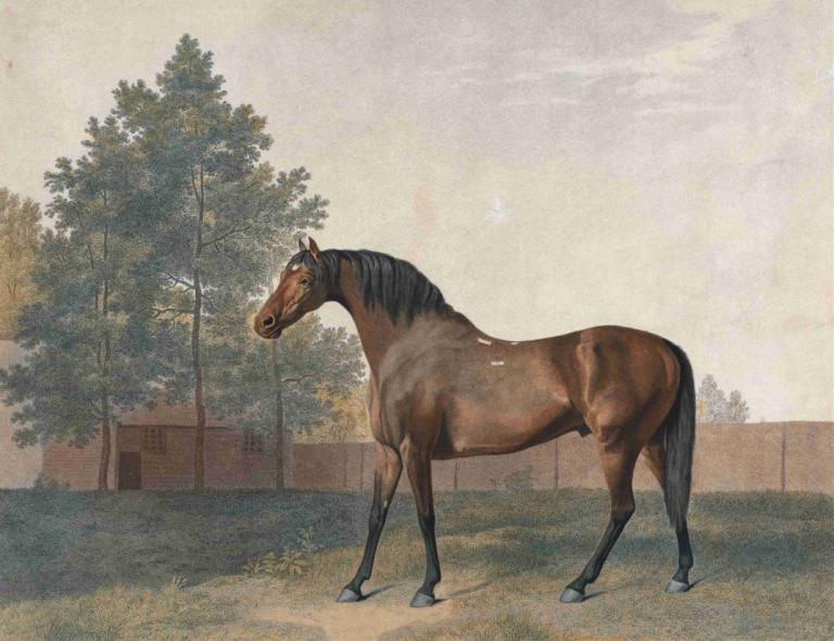 Anvil,Enclume,George Stubbs,Peinture à l'huile,Peinture à l'huile, pas d'humains, en plein air