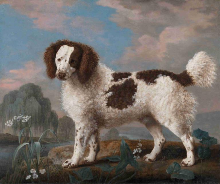 Brown and White Norfolk or Water Spaniel,George Stubbs,Oil Painting,Oil Painting, no humans, outdoors, dog